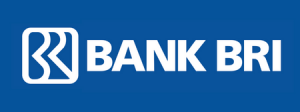 BRI Virtual Account